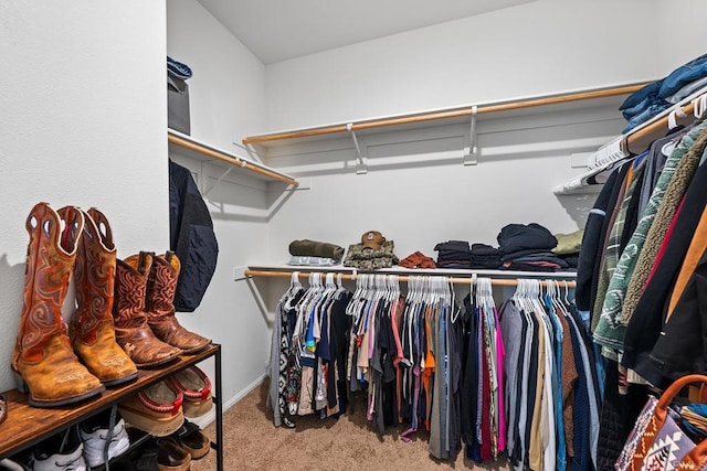 spacious closet with carpet