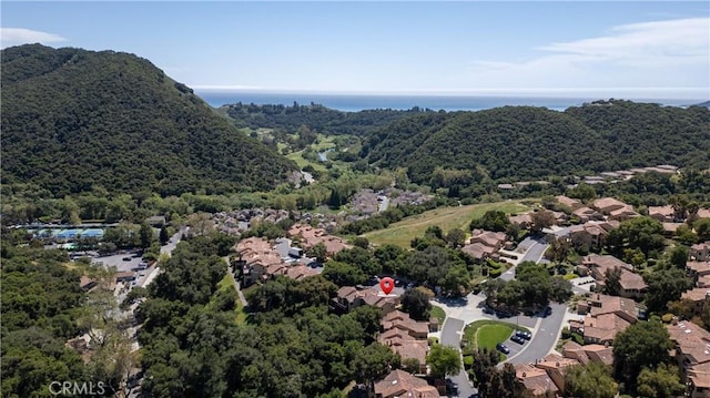 6405 Fiddleneck Ln, Avila Beach, CA 93424 - aerial perspective of suburban area with a heavily wooded area and a nearby body of water