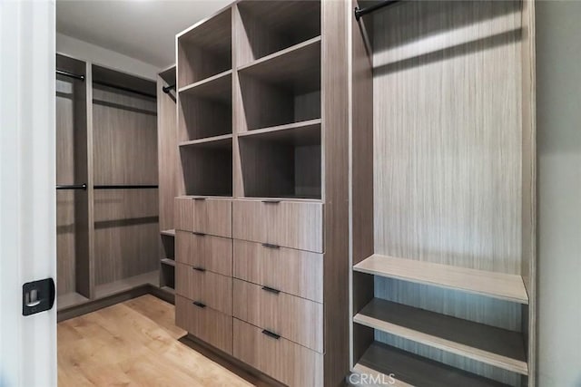 spacious closet with light wood-style flooring
