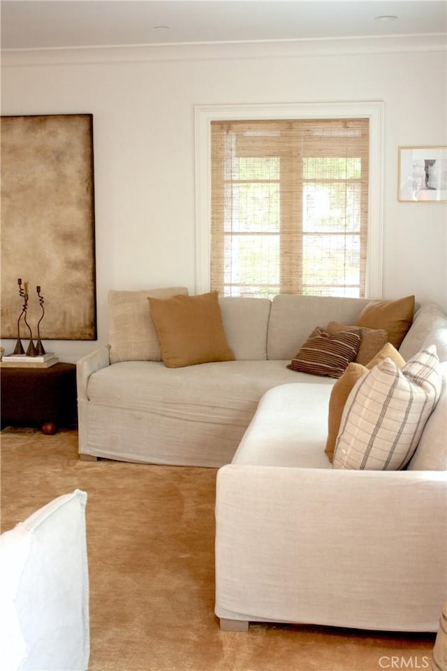 carpeted living room with ornamental molding