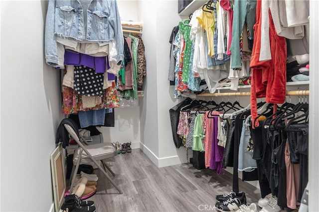 walk in closet with wood finished floors