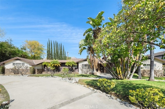 view of front of property with stucco siding and a front lawn