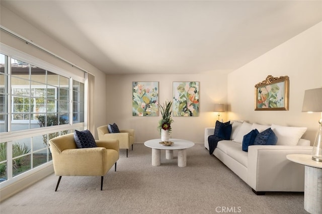 living area featuring carpet floors