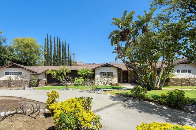 451 W Foothill Blvd, Arcadia, CA 91006 - ranch-style house with stucco siding, concrete driveway, and a front lawn