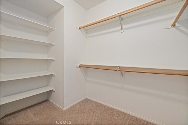 40949 Granite St, Palmdale, CA 93551 - walk in closet with carpet flooring