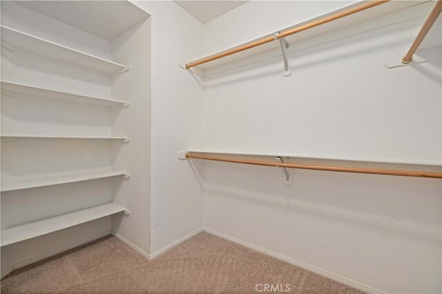 40949 Granite St, Palmdale, CA 93551 - spacious closet featuring carpet flooring