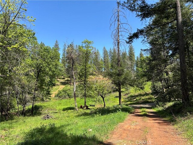 64 Breckenridge Ct, Berry Creek, CA 95916 - photo 18