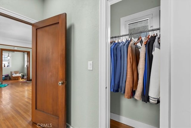 view of closet