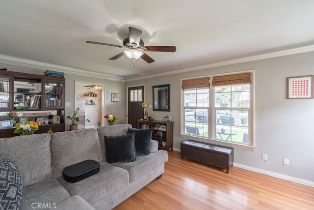 living room featuring a ceiling fan, light wood-style floors, crown molding, and baseboards