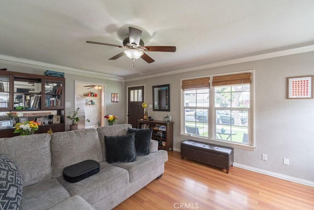 living room featuring crown molding, baseboards, a ceiling fan, and light wood finished floors