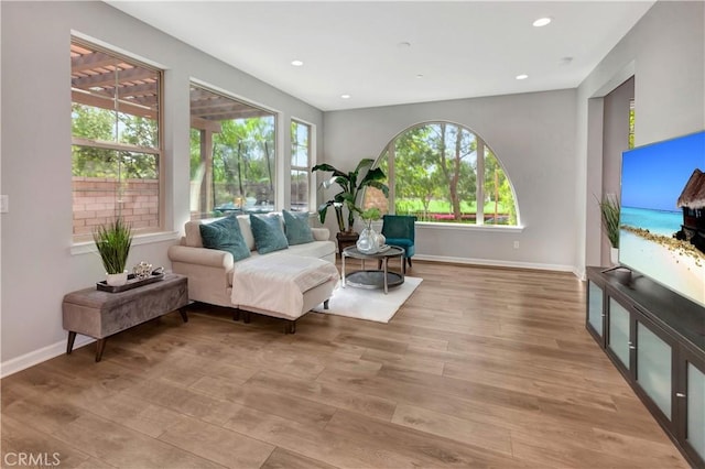 137 Lavender, Lake Forest, CA 92630 - living room featuring baseboards, plenty of natural light, and light wood-style floors