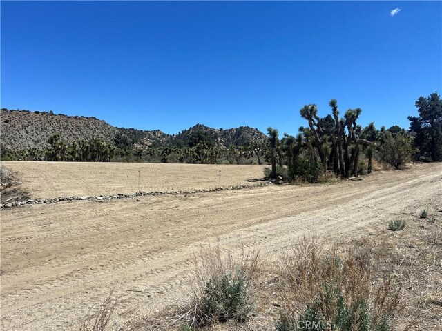 0 Evergreen Rd, Pinon Hills, CA 92372 - photo 6