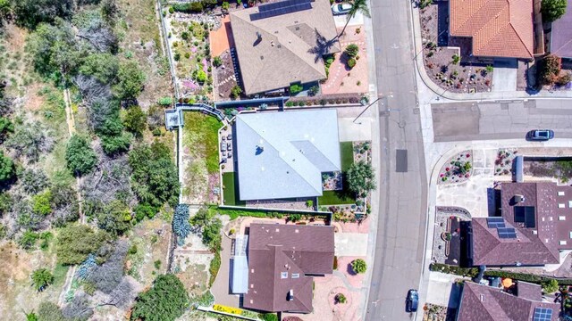 bird's eye view