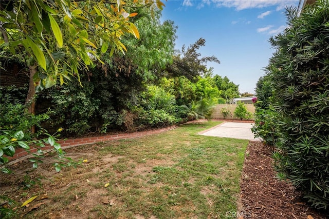 view of yard with a patio area and fence