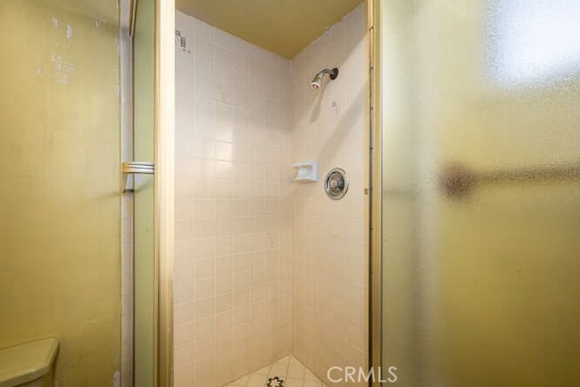 bathroom featuring a stall shower and toilet
