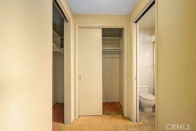 unfurnished bedroom featuring carpet floors, a textured ceiling, and a closet