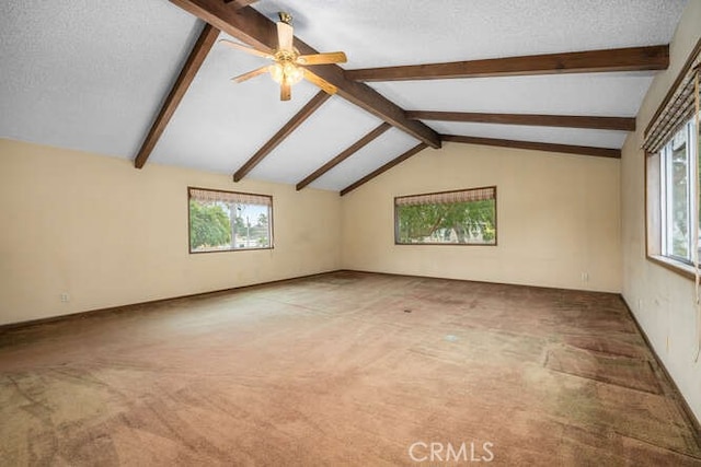 carpeted empty room with ceiling fan, lofted ceiling with beams, and a textured ceiling