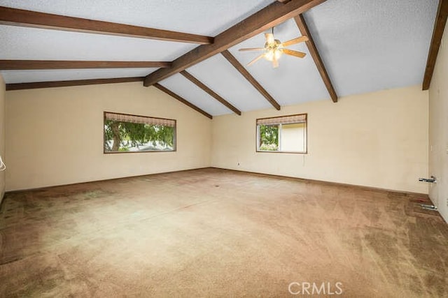 unfurnished room featuring carpet floors, lofted ceiling with beams, and a ceiling fan
