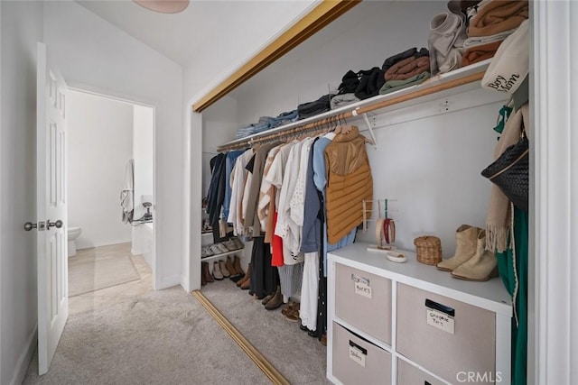 walk in closet with carpet flooring and vaulted ceiling