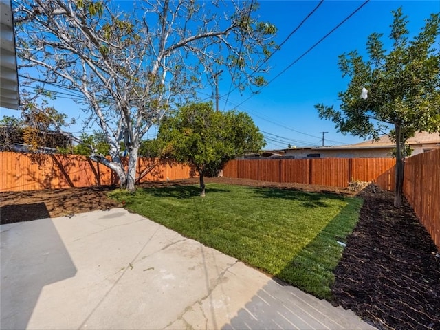view of yard with a fenced backyard and a patio