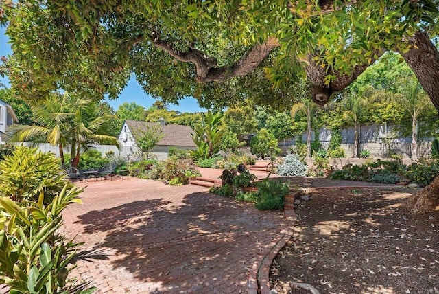 view of yard featuring a fenced backyard and a patio area