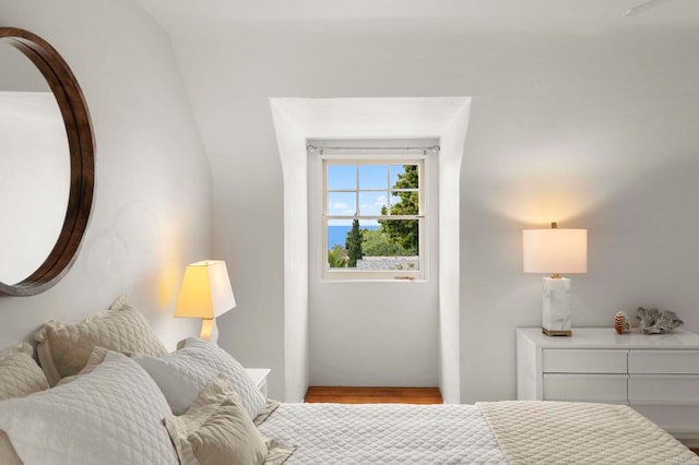 bedroom featuring wood finished floors