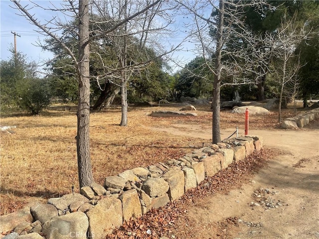 20780 Calle Rocio, Temecula, CA 92590 - view of yard