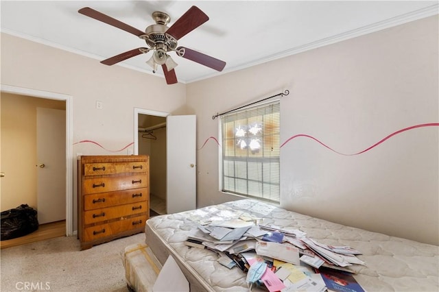 20780 Calle Rocio, Temecula, CA 92590 - bedroom featuring ornamental molding, a closet, ceiling fan, and a walk in closet