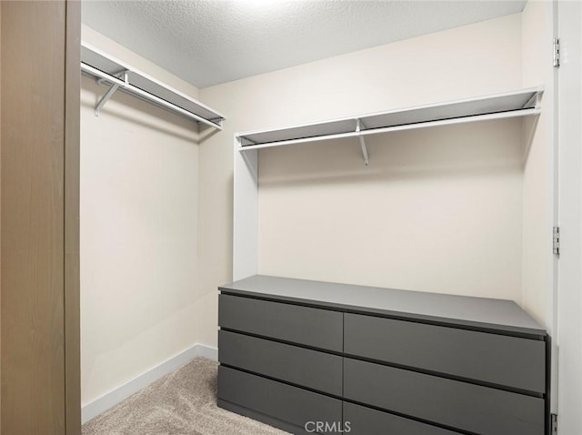 spacious closet with carpet flooring