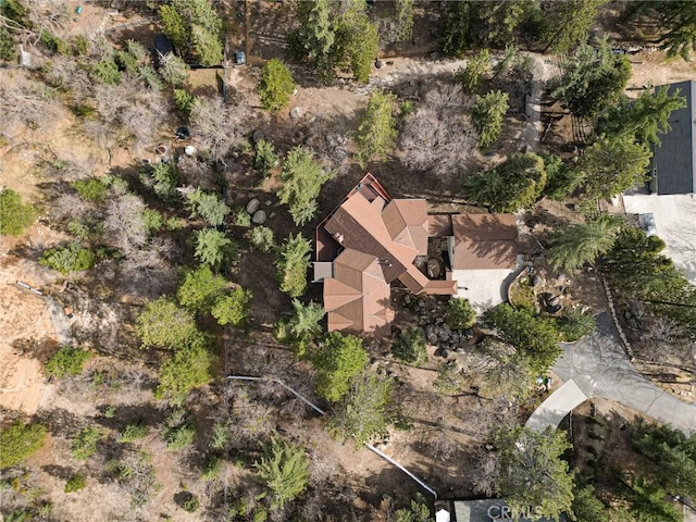 32424 Snowshoe Ln, Running Springs, CA 92382 - birds eye view of property
