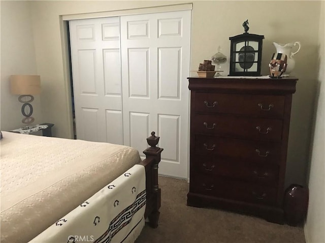 40964 156th St E, Lancaster, CA 93535 - bedroom with a closet and dark colored carpet