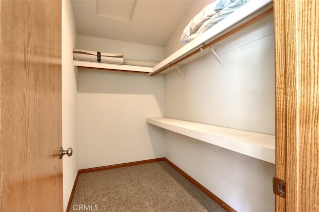 walk in closet with carpet