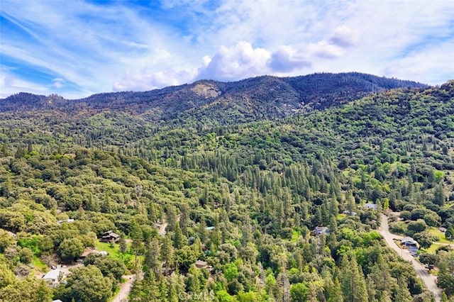 bird's eye view with a mountain view and a forest view
