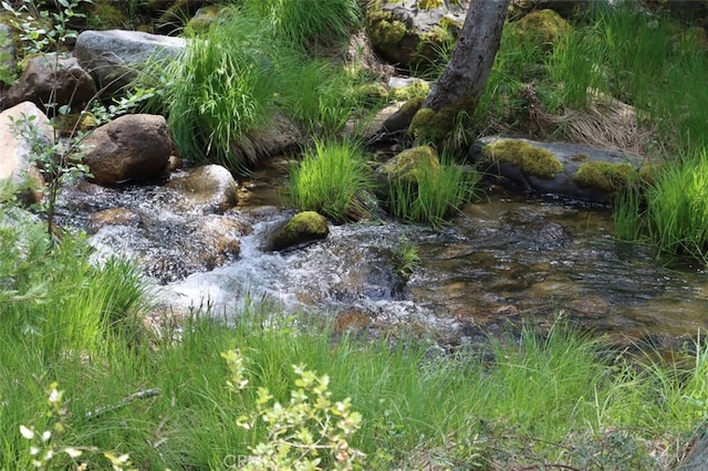 view of nature