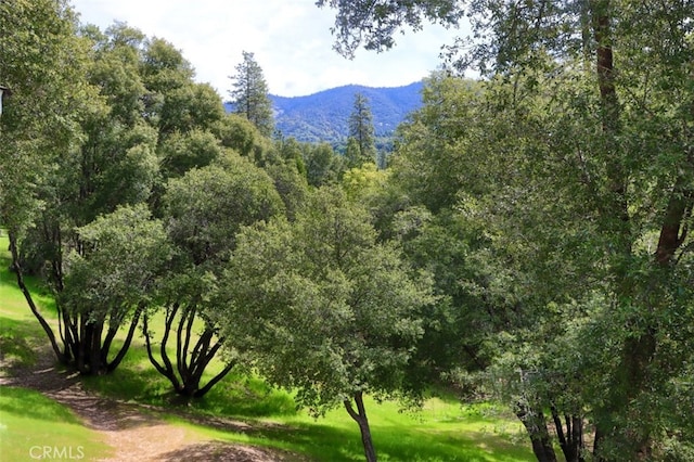 property view of mountains with a view of trees