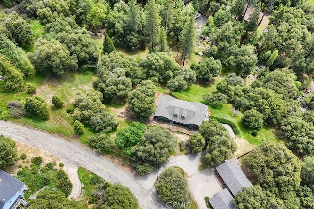 drone / aerial view