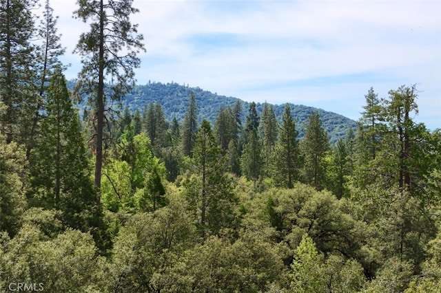 mountain view featuring a view of trees