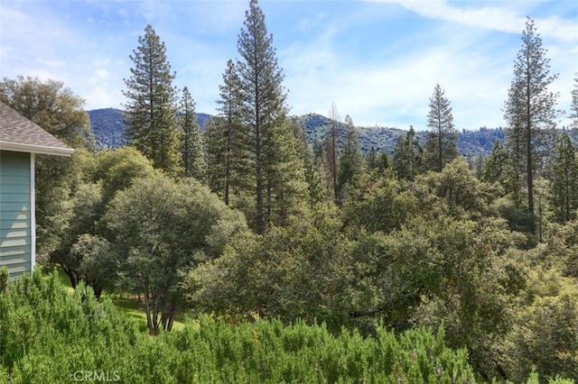 view of mountain feature with a forest view