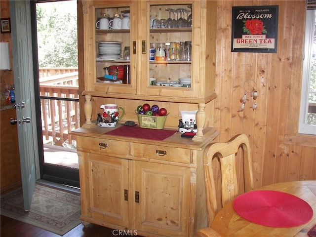 entryway with wood walls and a wealth of natural light