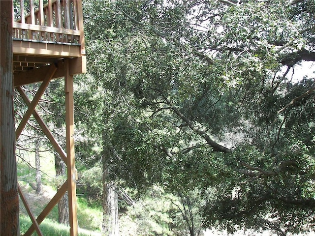 21524 Crest Forest Dr, Cedarpines Park, CA 92322 - view of exterior details