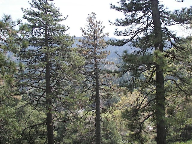 view of landscape with a view of trees