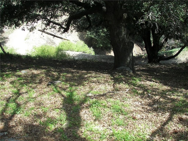 view of landscape