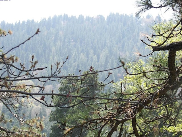 exterior space with a view of trees