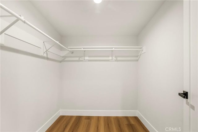 walk in closet with wood finished floors