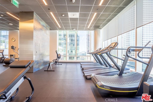 workout area featuring visible vents, floor to ceiling windows, and a paneled ceiling