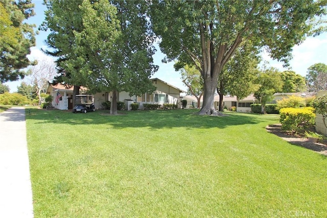view of yard