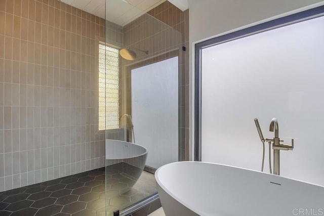 bathroom with a freestanding tub and walk in shower