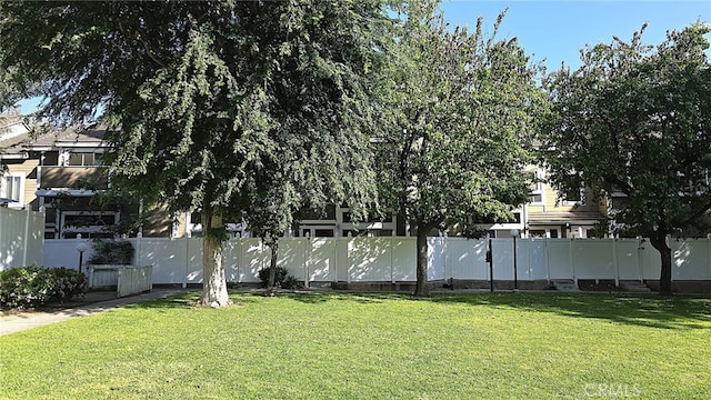 1921 Glenoaks Blvd Unit 196, San Fernando, CA 91340 - view of yard