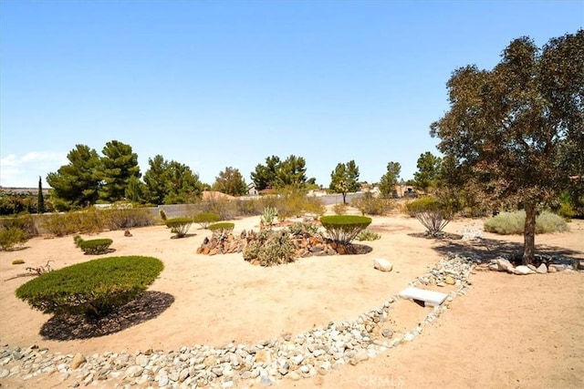 13784 Choco Rd, Apple Valley, CA 92307 - view of yard