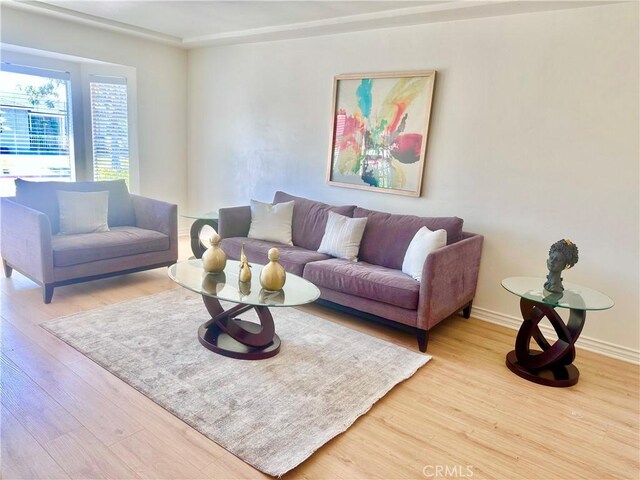 living room with baseboards and wood finished floors